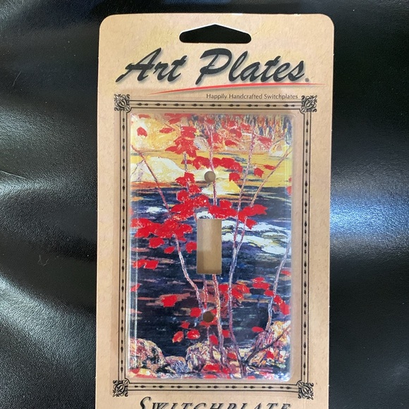 SOLD.   Three artistic switch plates - Picture 2 of 5